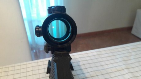 Buenas tardes,

Por traslado a USA vendo mi Carabina Goliath, que viene con visor de punto rojo NRD.
Con 32