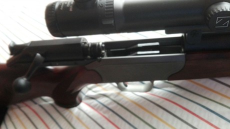 Hola.  Un amigo vende este Blaser de lujo, prácticamente nuevo. Con monturas Blaser de carril y visor 11