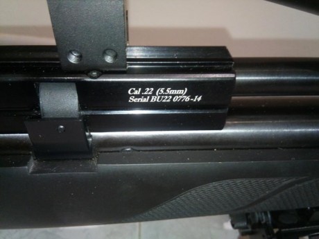 Vendo equipo conpleto pcp
 Buccaneer blak 5.5
 Visor 6*24-50
 4 cargadores
 Silenciador
 Bipode konus
 31