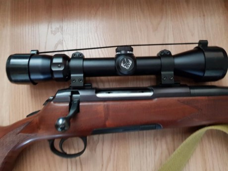 Vendo Rifle Kufstein Austriaco de cerrojo con mira, funda, cartuchera, colimador y abundante munición
El 00