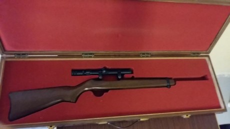 Vendo por no usar. 
Hecha a mano especificamente para transportar una ruger 10/22. Tiene algun roze por 02