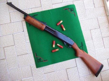 . 81