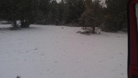  http://img.webme.com/pic/e/elresorte/tirada%20bueno.jpg 

Primera tirada 2018 en el campo 21