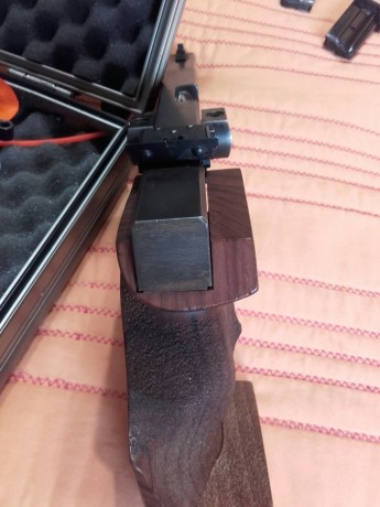 Al tema un amigo me pide que le ponga a la venta dos walter gsp del calibre 22 y 32 bien cuidadas con 90