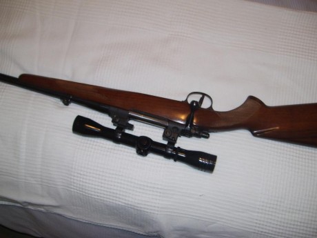 Hola, 
Por lo que ya os comente en la presentación vendo las siguientes armas,

Carabina Remington, cal.22 00