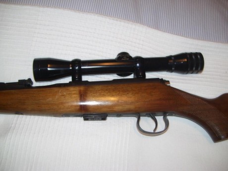 Hola, 
Por lo que ya os comente en la presentación vendo las siguientes armas,

Carabina Remington, cal.22 12