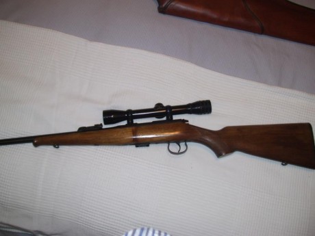 Hola, 
Por lo que ya os comente en la presentación vendo las siguientes armas,

Carabina Remington, cal.22 11