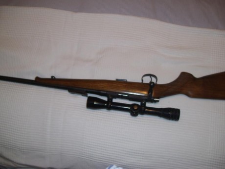 Hola, 
Por lo que ya os comente en la presentación vendo las siguientes armas,

Carabina Remington, cal.22 10