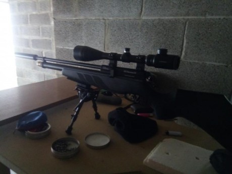 Vendo equipo conpleto pcp
 Buccaneer blak 5.5
 Visor 6*24-50
 4 cargadores
 Silenciador
 Bipode konus
 80
