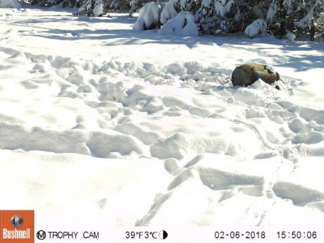  http://img.webme.com/pic/e/elresorte/tirada%20bueno.jpg 

Primera tirada 2018 en el campo 90