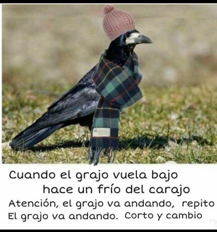Con lo dado que somos los españoles a los chistes y que en este foro no se vean  :shock:  :shock:  :shock: 100
