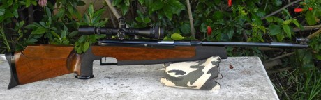 Buenas a todos, 

Llevo un tiempo mirando e informándome para comprarme mi primera carabina. De lo que 60