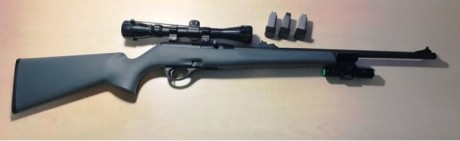 Se vende carabina Remington 597 del calibre 22 lr semiautomática, de polímero, casinueva, comprada en 00