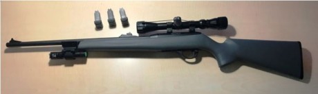 Se vende carabina Remington 597 del calibre 22 lr semiautomática, de polímero, casinueva, comprada en 20