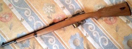 Hola.
Vendo esta carabina Destroyer del calibre 9mm Largo en un estado más que bueno estéticamente, como 02