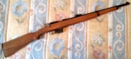 Hola.
Vendo esta carabina Destroyer del calibre 9mm Largo en un estado más que bueno estéticamente, como 01