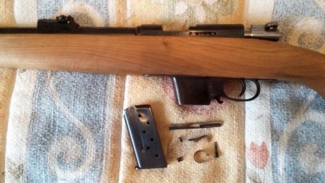 Hola.
Vendo esta carabina Destroyer del calibre 9mm Largo en un estado más que bueno estéticamente, como 10