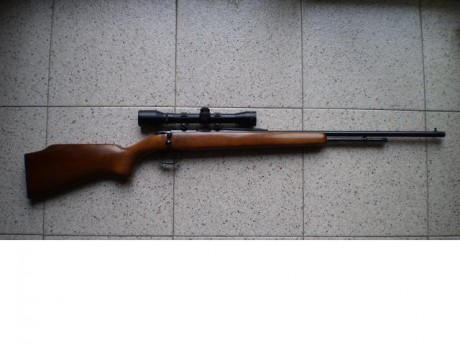 se vende carabina calibre 22.corto y largo
de cerrojo marca remington.
modelo 582 americana.
mira de 4x 02