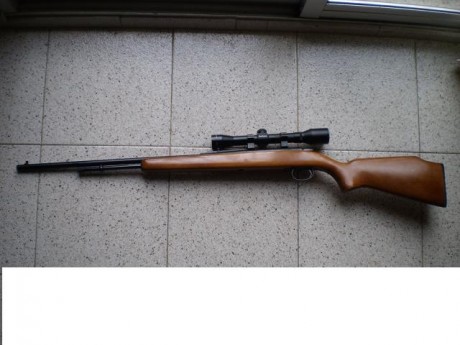 se vende carabina calibre 22.corto y largo
de cerrojo marca remington.
modelo 582 americana.
mira de 4x 01