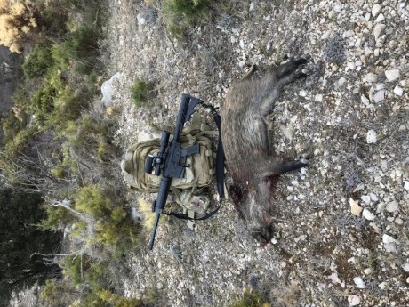 Alguien me puede decir si podria valer para cazar jabali en batida,no seria para tiros muy largos pero 170