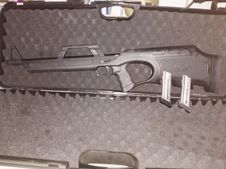Carabina WALTHER G22 ,22Lr, en perfecto estado,pocos tiros, con estuche original, dos ca
rgadores de 10 10