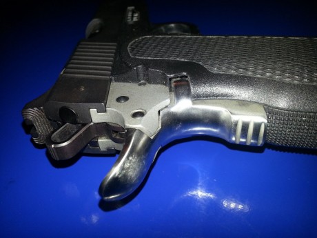 Vendo pistola BUL M5 5" .45 ACP con dos cargadores de 14 y uno de 12.

Para quien no la conozca es 11