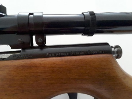 Vendo carabina Santa Bárbara modelo 66, monotiro, en perfecto estado de conservación, monta un visor japones 00