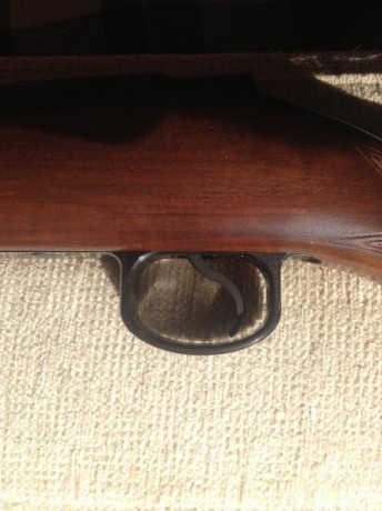 Hola
Vendo este guardamonte para carabina CZ 452-2E ZKM en 22LR y que le da otro aire al arma. Parece 11