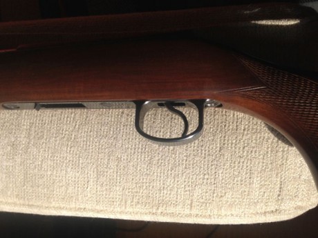 Hola
Vendo este guardamonte para carabina CZ 452-2E ZKM en 22LR y que le da otro aire al arma. Parece 10