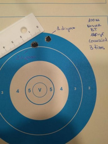 ¿Nos animamos a mostrar blancos de nuestros rifles de caza habituales? Con la munición que habitualmente 120