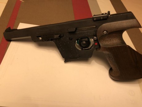 Vendo Walther GSP 22lr. 
Vendo con 2 cargadores y 2 empuñaduras (diestro)

Precio 400 €. Ubicación Alava. 31