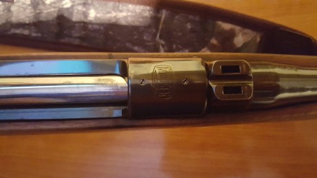 Hola.  Se venden dos rifles. Un Browning Dualis de corredera, 30/06, tres cargadores de cuatro disparos, 32