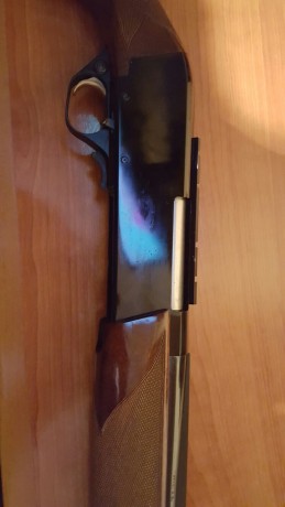 Hola.  Se venden dos rifles. Un Browning Dualis de corredera, 30/06, tres cargadores de cuatro disparos, 31