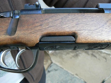 Hola, dispongo del pestillo derecho e izquierdo para el cargador del rifle Steyr Mannlicher.
Está hecho 01