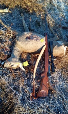 ¿Nos animamos a mostrar blancos de nuestros rifles de caza habituales? Con la munición que habitualmente 20