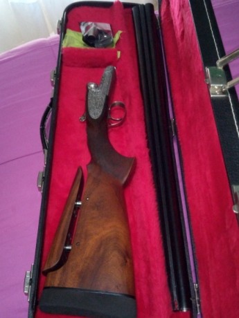 buenas, vendo o cambio, paralela Gamba San Vicent escudete de oro, con choques briley,
culata pistolet 01