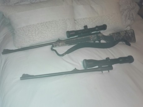 Blaser R93 profesional (ZURDO) - Cañon 378 + visor Swarovski HABITCH 1.5-6X42
+ Cañon 270 + visor Swarovski 00
