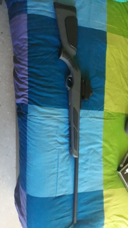 Hola pues un amigo tiene esta carabina gamo y no sabemos cual modelo es a ver si podeis ayudarme y de 01