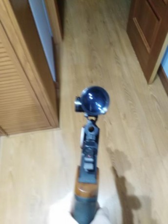 Se vende pistola una thonson suucenter mono tiro con visor calibre 357 maximagnun y 357 mágnum y funde 11