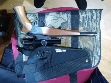 Se vende pistola una thonson suucenter mono tiro con visor calibre 357 maximagnun y 357 mágnum y funde 10