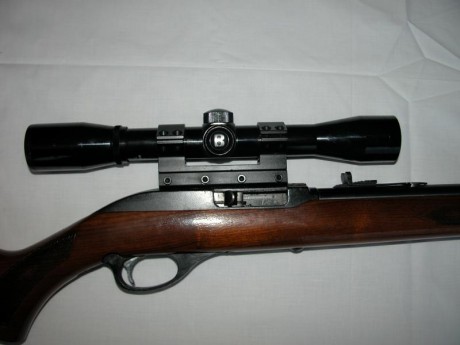Vendo carabina Marlin modelo 990, equipada con un visor Bushnell Sportview 4X32.Regalo maletín transporte.
Está 12