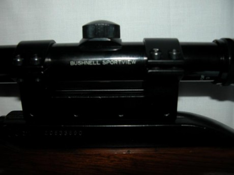 Vendo carabina Marlin modelo 990, calibre 22 LR, con visor Bushnell Sportview 4X32, con maletín de transporte.
La 00