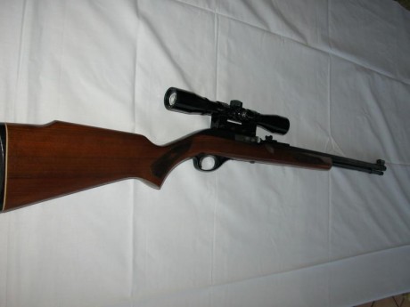 Vendo carabina Marlin modelo 990, calibre 22 LR, con visor Bushnell Sportview 4X32, con maletín de transporte.
La 11