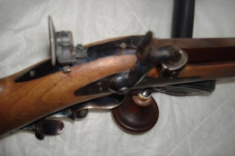 Un compañero vende un rifle Watlaander de Pedersoli del calibre 45 para la modalidad de Vetterli y me 02