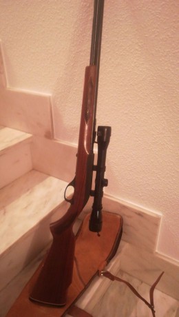 Un compañero me a pedido que anuncie esta carabina.
Se compro por capricho y no se a usado , solo unos 01