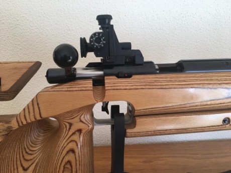 Vendo carabina  FEINWERKBAU c/ 22 LR MODELO 2600 MATCH a estrenar con elementos de punteria diopter. Cañón 00