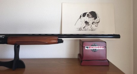 Vendo BENELLI- PREMIUM C/12 muy buen estado,
 pocos tiros,sistema inercial, cañón 70mm, banda ventilada.
No 00