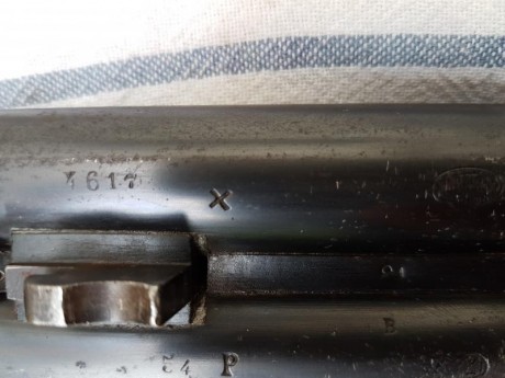 Hola a todos, acabo de conseguir una escopeta marca Jabali,de perrillos ccon bascula cuadrada en muy buen 111