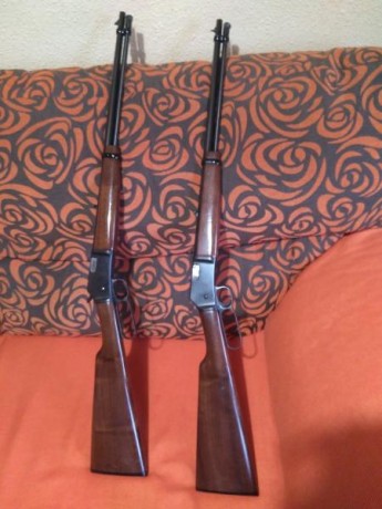 Vendo dos carabinas de palanca, una Miroku y una Brownig del calibre 22, las dos disparan el 22 Short 00