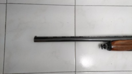 Vacio el armero para un nuevo proyecto. Me hace falta cash. :D  :D 
Se vende escopeta repetidora (semiautomatica)de 02